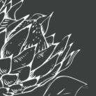 cb7cc6a891e00cc67ee6b0738a232252.png