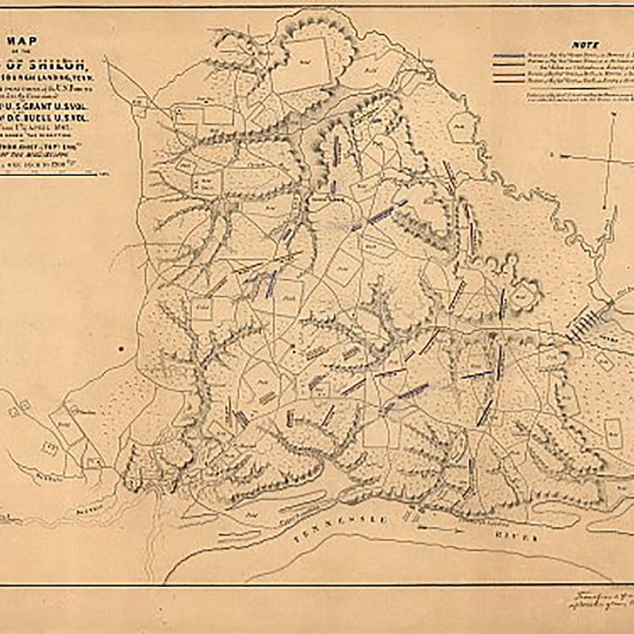 b70822b52c2e21483bc29174e8eb0e95.jpg
